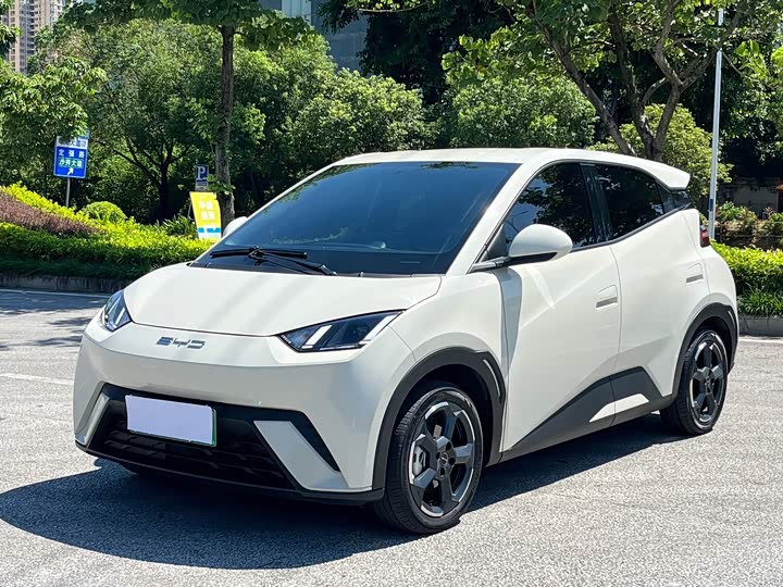 BYD Seagull, 2023 — купить в Санкт-Петербурге под ключ