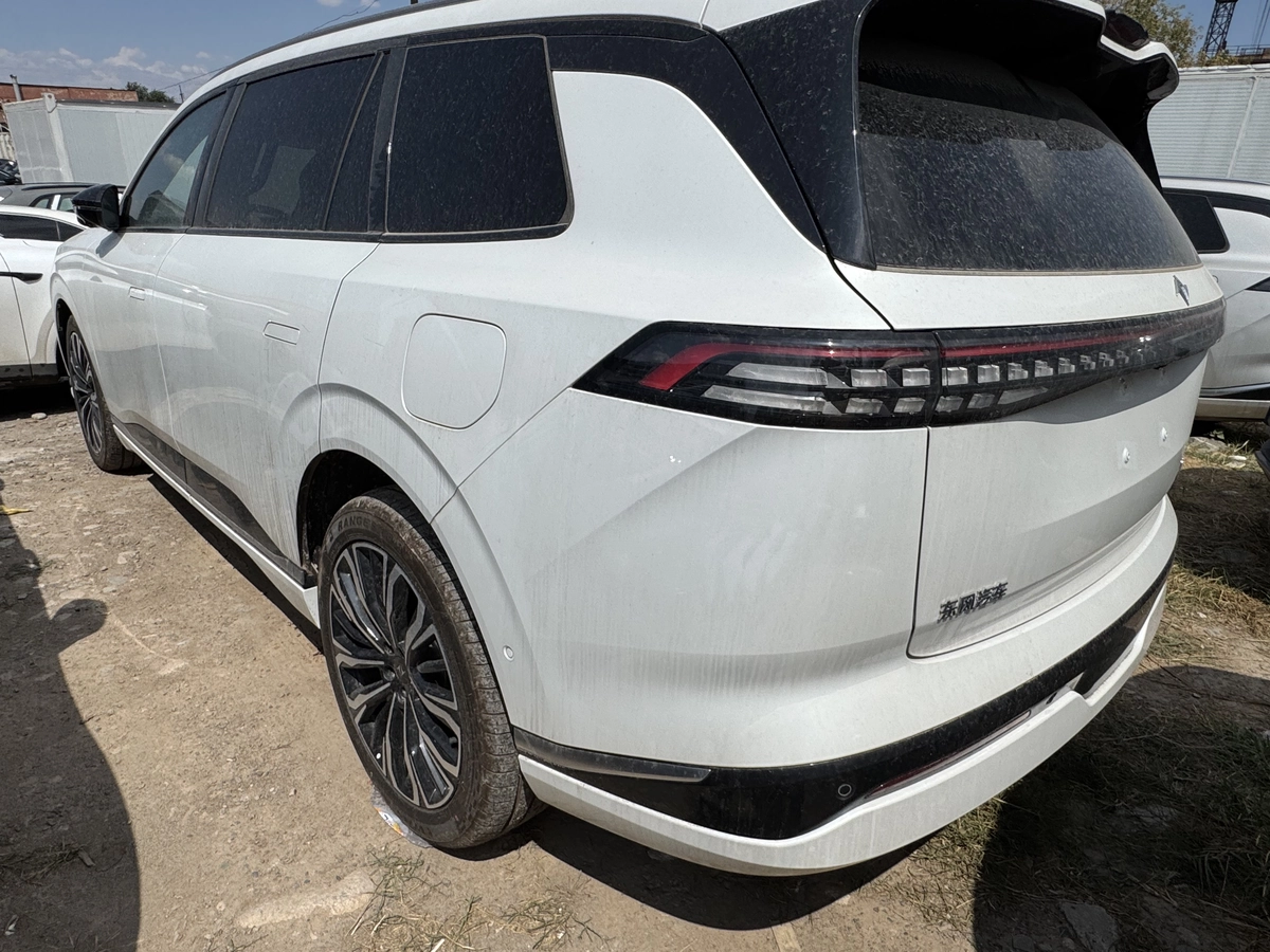 Dongfeng EP 008, 2026 — фото 8 из 12