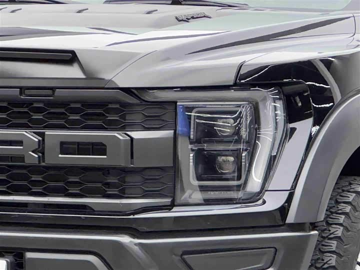 Ford F-150 Raptor, 2023 — фото 3 из 9