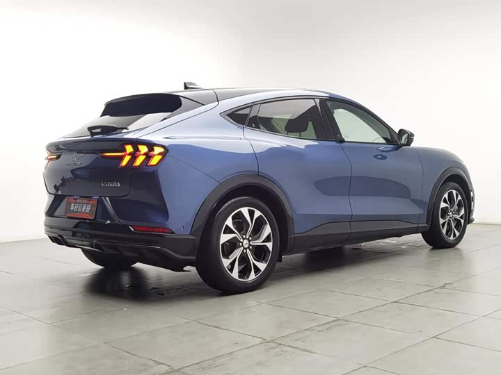 Ford Mustang Mach-E, 2022 — фото 2 из 9