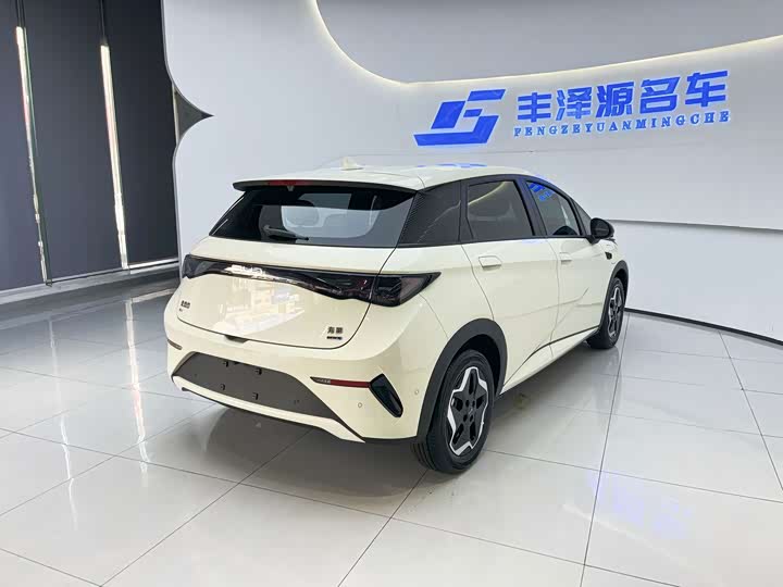 BYD Dolphin, 2025 — фото 4 из 9