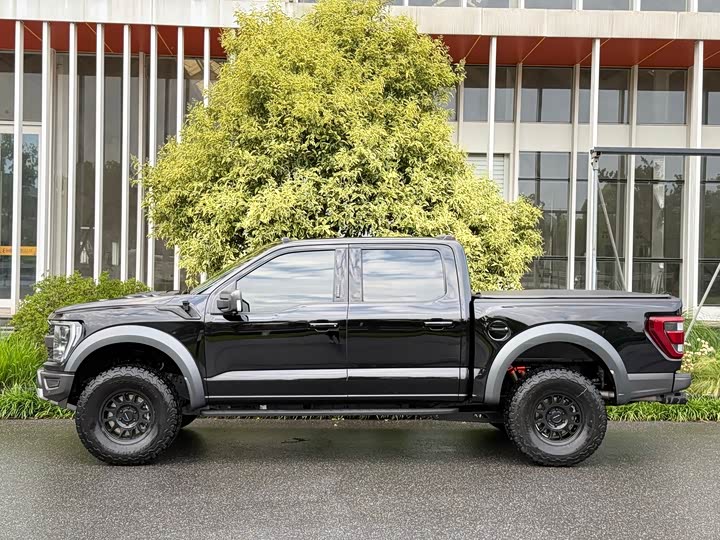 Ford F-150 Raptor, 2023 — фото 2 из 9