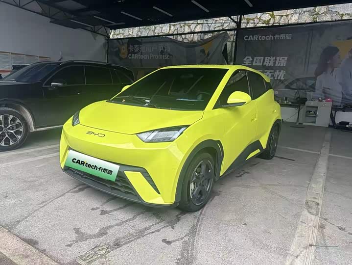 BYD Seagull, 2023 — купить в Рязани под ключ