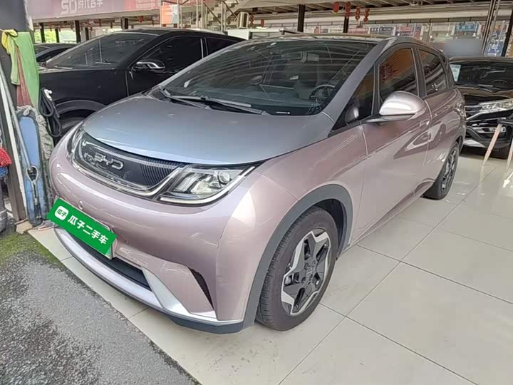 BYD Dolphin, 2022 — купить в Белгороде под ключ