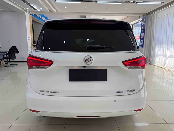 Buick GL6, 2022 — фото 5 из 9