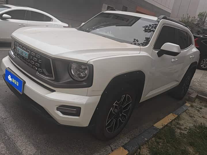 Haval H-Dog Hybrid, 2023 — купить в Рязани под ключ