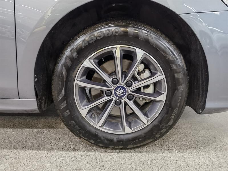BYD Qin Plus, 2024 — фото 7 из 12