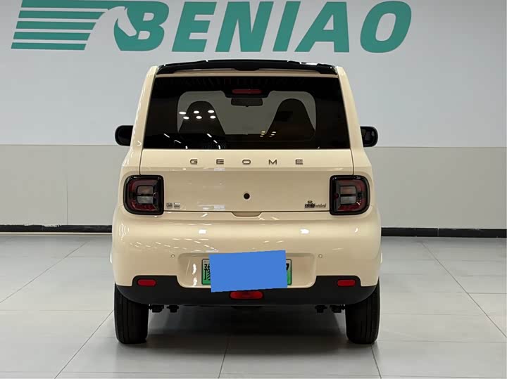 Geely Galaxy Panda Mini, 2025 — фото 5 из 9
