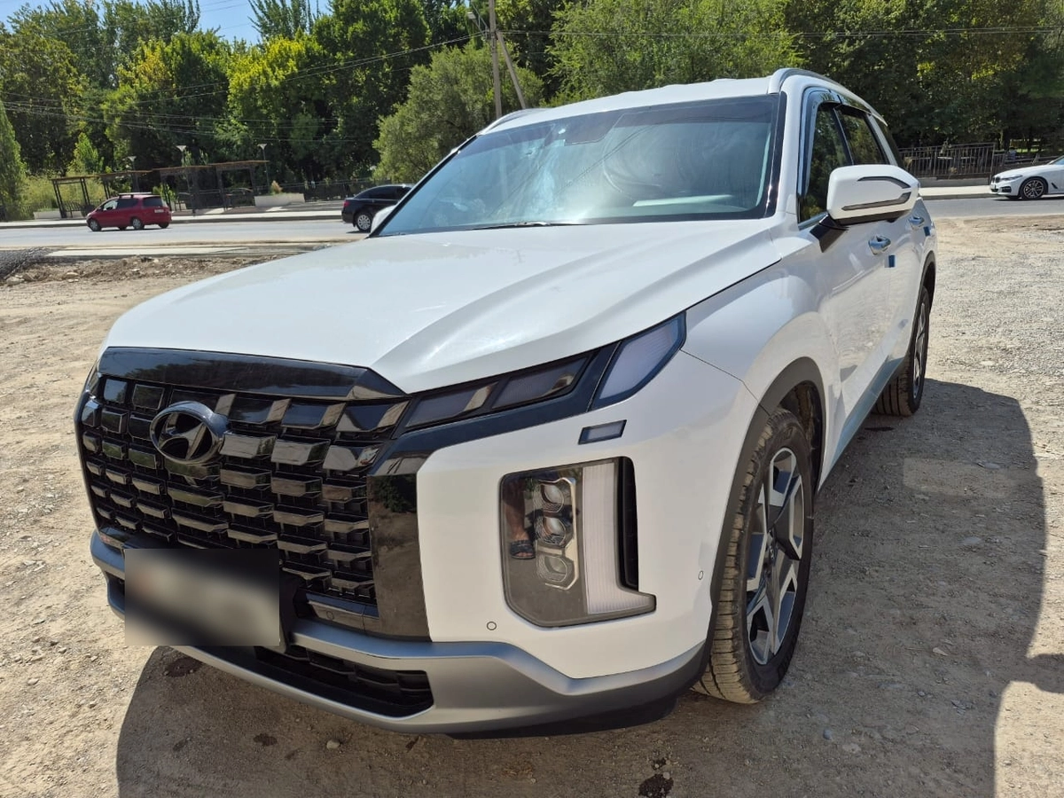 Hyundai Palisade, 2024 — фото 12 из 12
