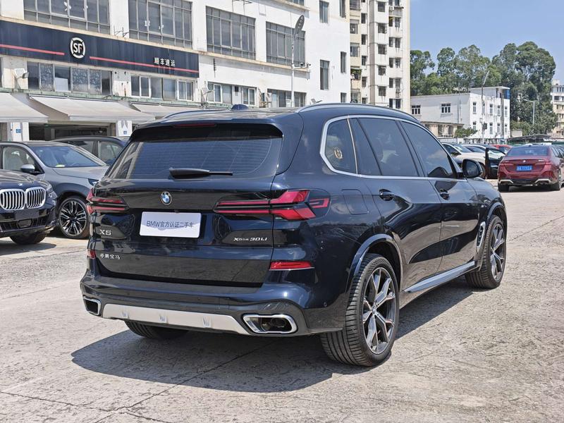 BMW X5, 2024 — фото 5 из 11
