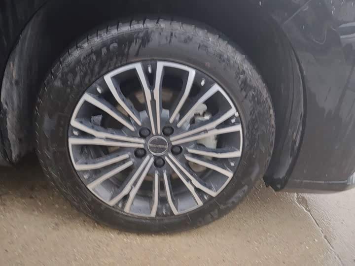 Dongfeng Forthing Xinghai V9, 2025 — фото 8 из 9