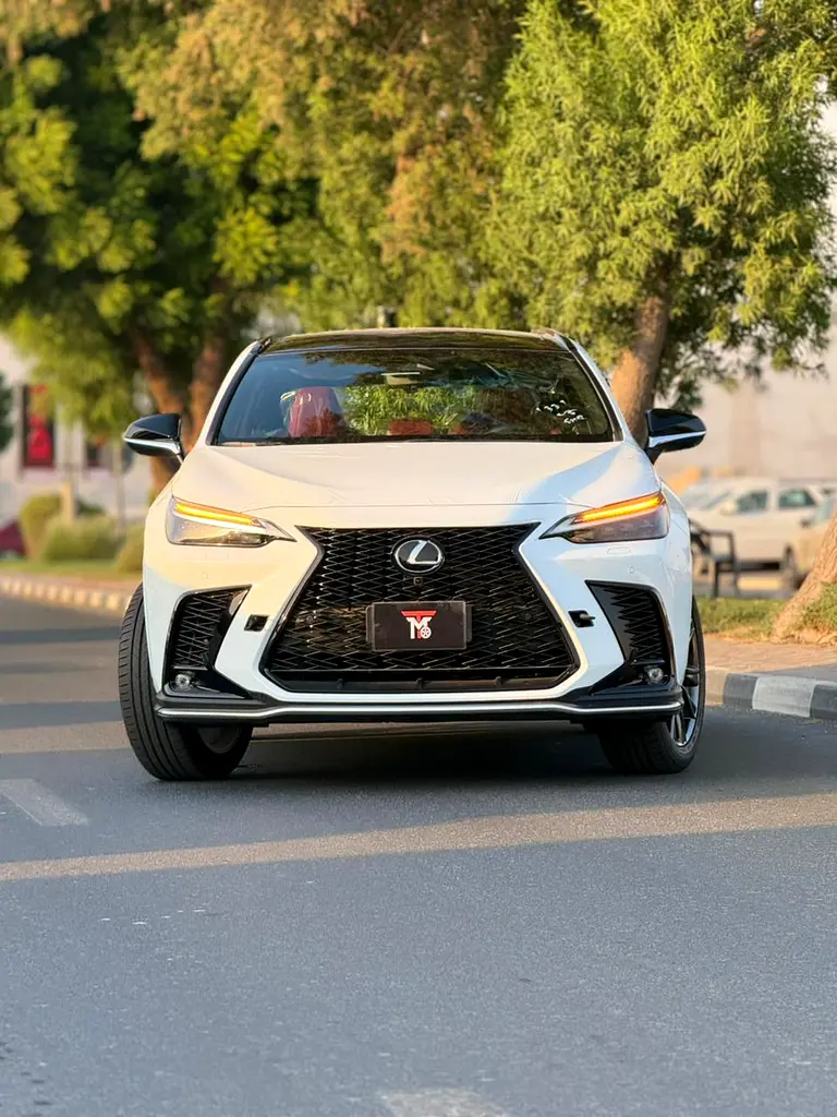 Lexus NX-Series, 2026 — фото 2 из 10