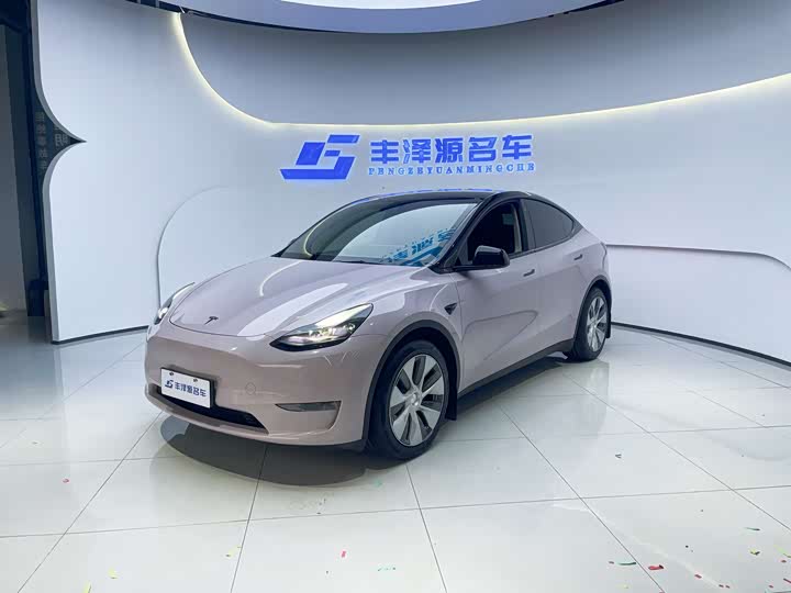 Tesla Model Y, 2021 — купить в Тамбове под ключ