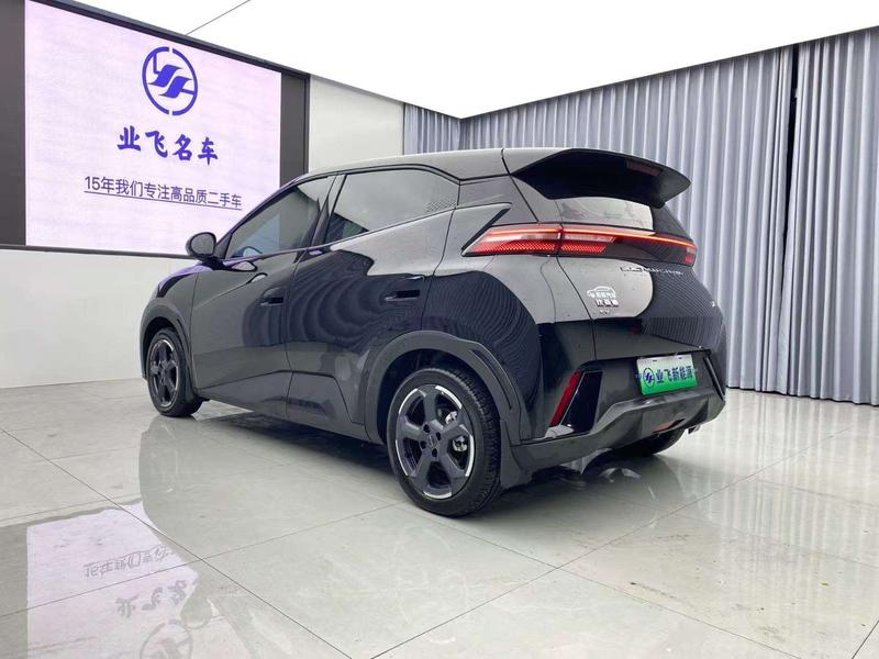 BYD Seagull, 2024 — фото 4 из 12