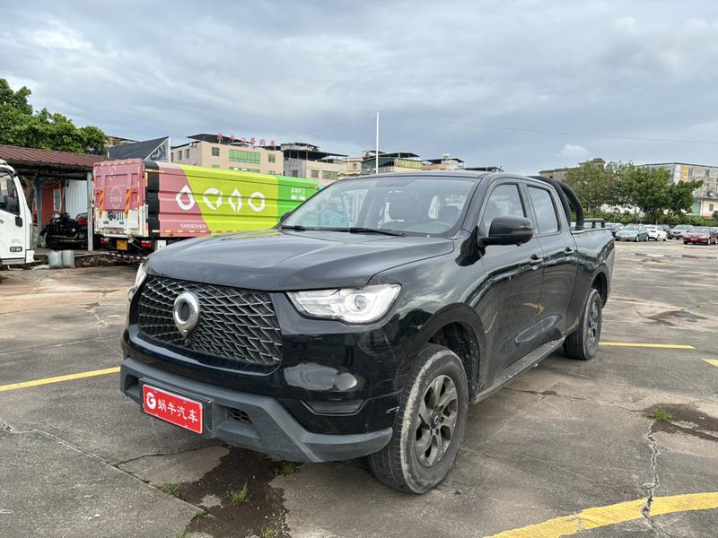 Great Wall Pao, 2022 — купить в Санкт-Петербурге под ключ