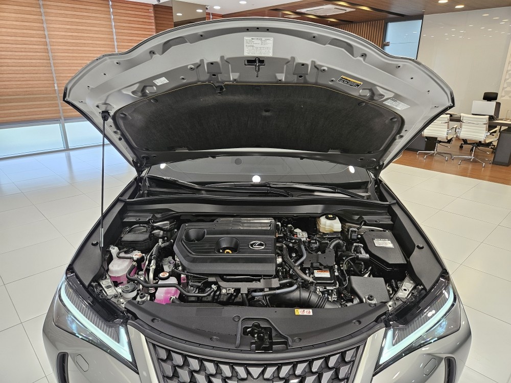 Lexus UX, 2025 — фото 7 из 12