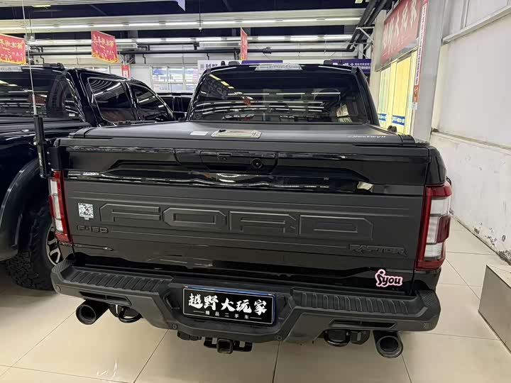 Ford F-150 Raptor, 2023 — фото 9 из 9