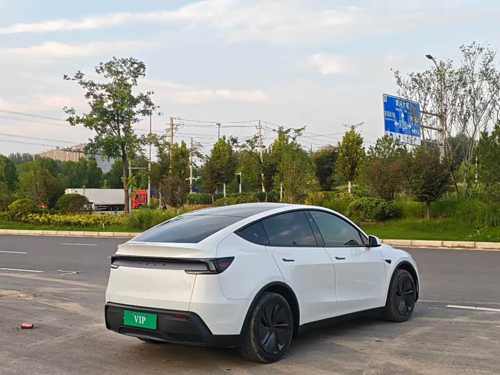 Tesla Model Y, 2026 — фото 9 из 9
