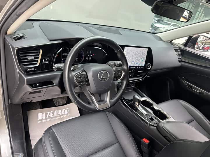 Lexus NX, 2022 — фото 9 из 9