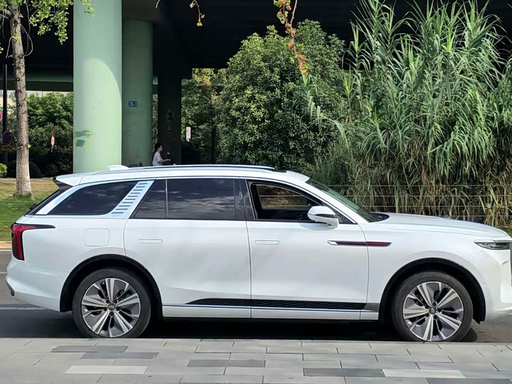 Hongqi E-HS9, 2022 — фото 4 из 9