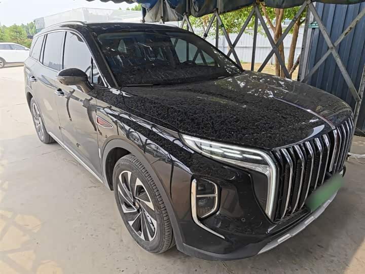 Hongqi HS7 Hybrid, 2024 — фото 4 из 9