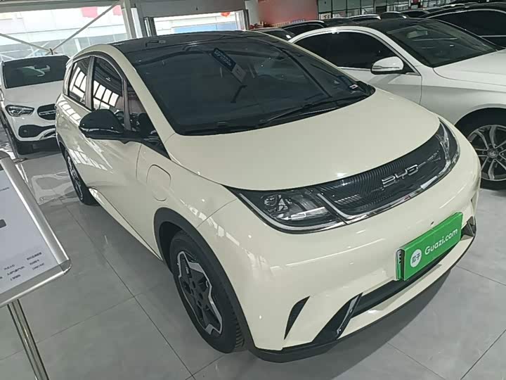 BYD Dolphin, 2022 — фото 4 из 9