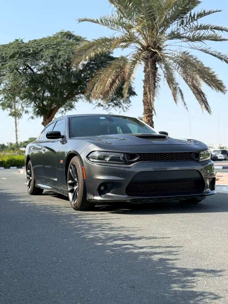Dodge Charger, 2023 — фото 3 из 10