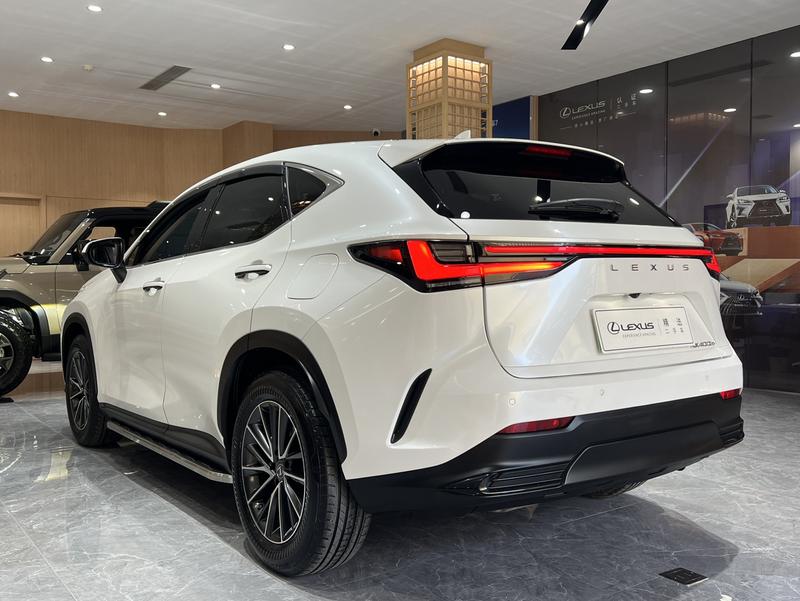 Lexus NX Hybrid, 2021 — фото 4 из 12