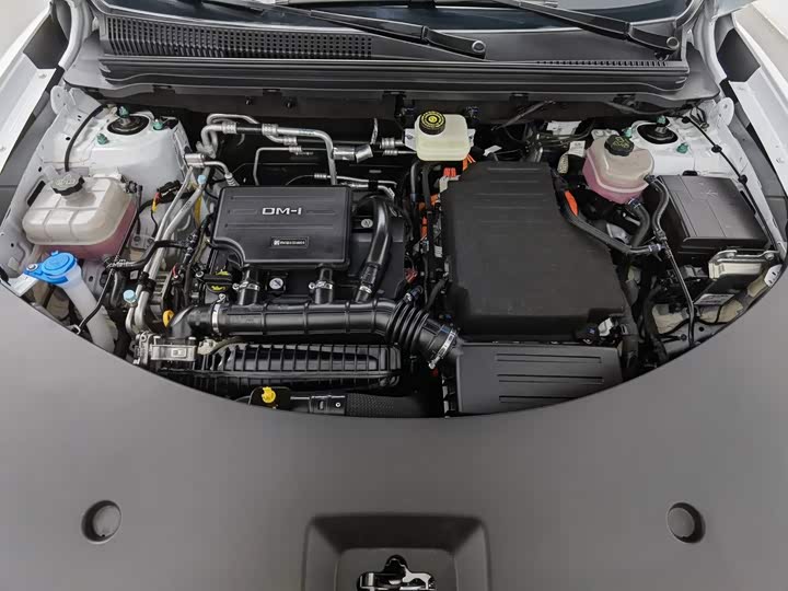 BYD Song Pro Hybrid, 2025 — фото 6 из 9