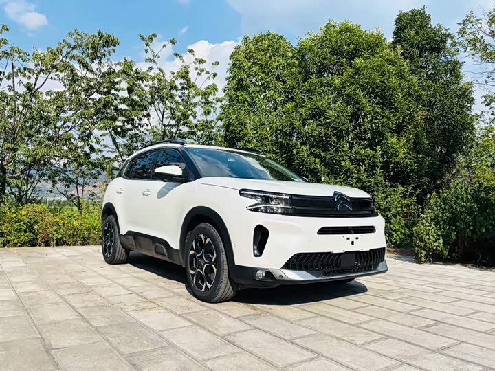 Citroen C5 Aircross 2023, 2022 — фото 3 из 9