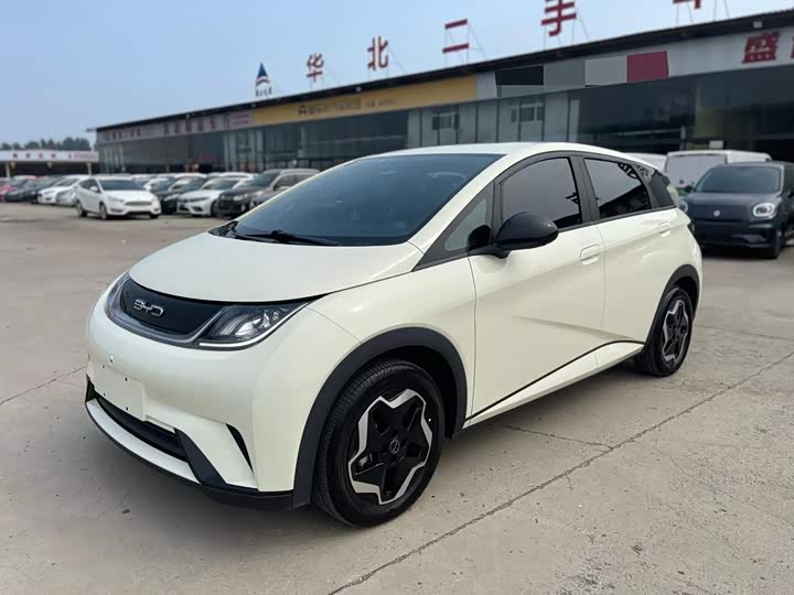 BYD Dolphin, 2022 — купить в Чебоксарах под ключ