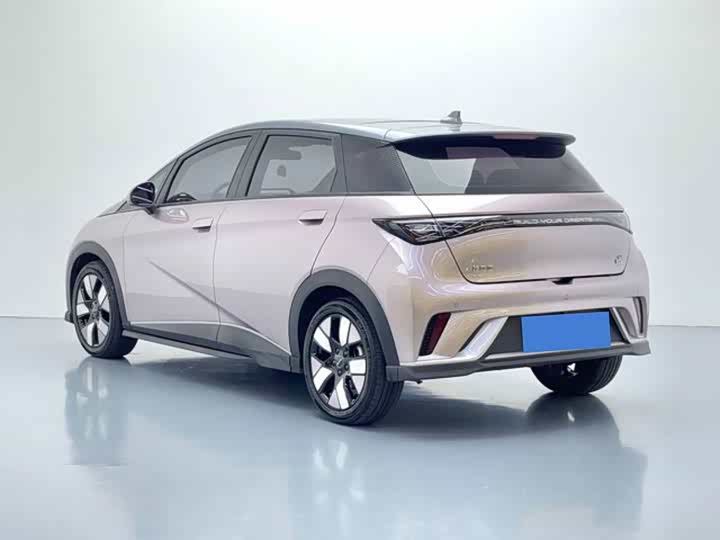 BYD Dolphin, 2021 — фото 4 из 9