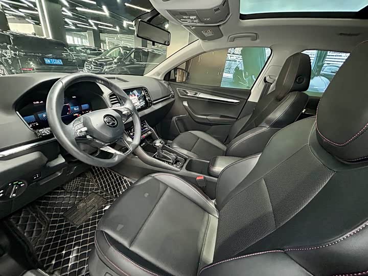 Skoda Karoq, 2024 — фото 9 из 9