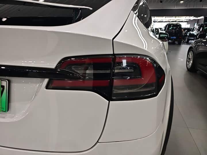 Tesla Model X, 2023 — фото 8 из 9