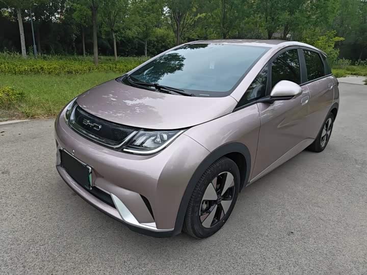 BYD Dolphin, 2023 — купить в Москве под ключ