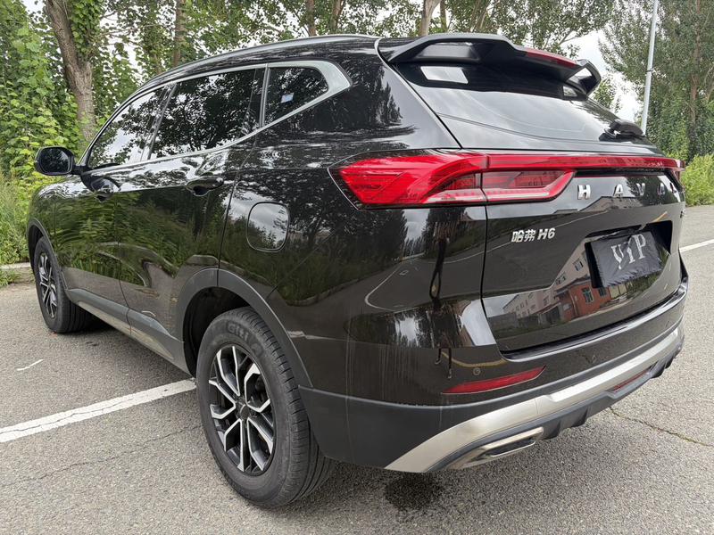 Haval H6, 2021 — фото 4 из 12