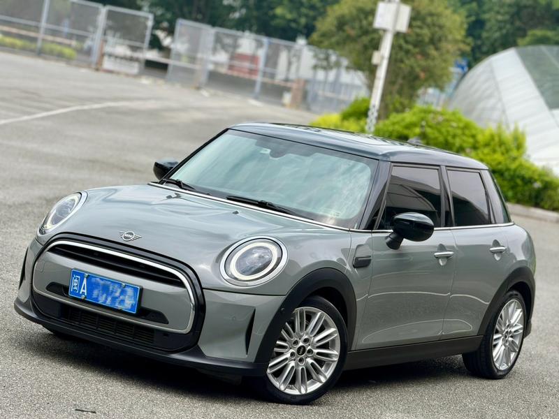 Mini Mini, 2021 — купить в Ульяновске под ключ