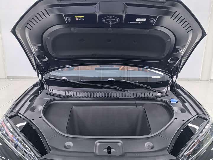 BYD Sea Lion 07 EV, 2024 — фото 8 из 9