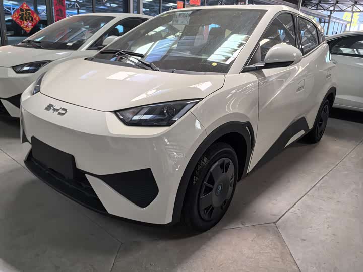 BYD Seagull, 2026 — купить в Пензе под ключ