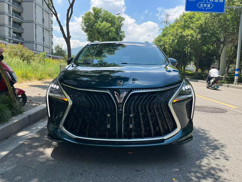 Dongfeng Forthing Yacht, 2022 — фото 2 из 10