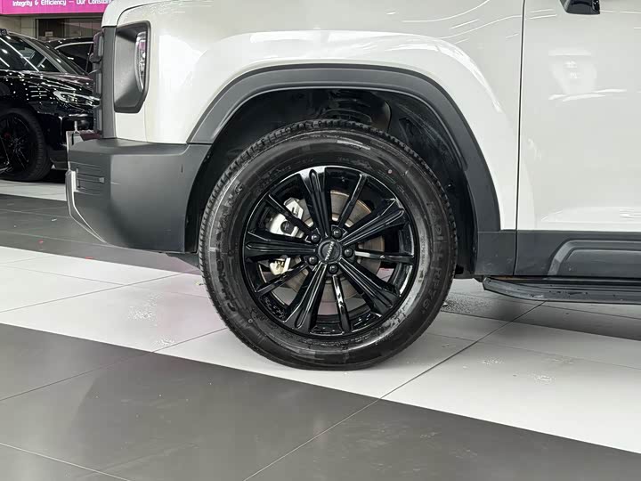 Haval Raptor Hybrid, 2024 — фото 8 из 9