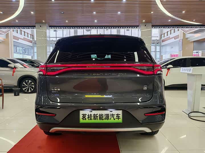BYD Tang Hybrid/EV, 2023 — фото 4 из 9