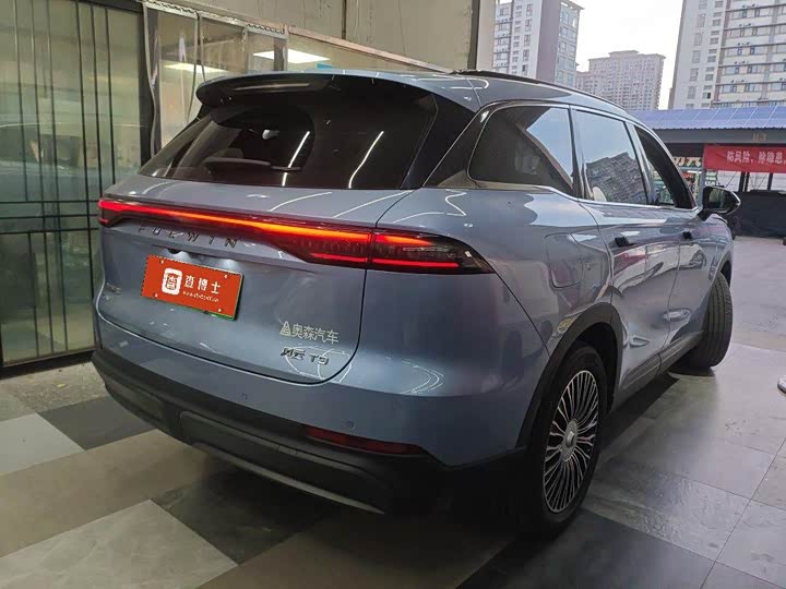 Chery Fulwin T9, 2024 — фото 4 из 9