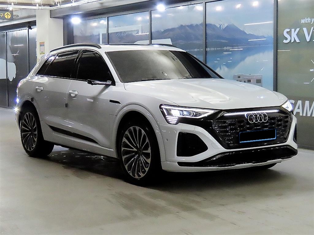 Audi Q8 e-tron, 2024 — купить в Самаре под ключ