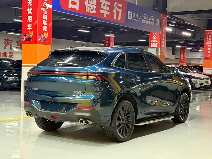 Dongfeng Forthing T5 EVO, 2021 — фото 5 из 9