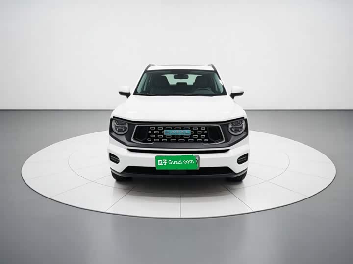 Haval H-Dog Hybrid, 2023 — фото 2 из 9