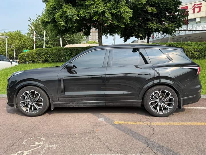 Lynk & Co 09 EM-P Hybrid, 2024 — фото 3 из 9