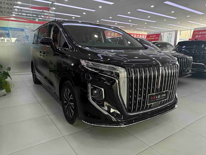 Hongqi HQ9 Hybrid, 2024 — фото 3 из 9