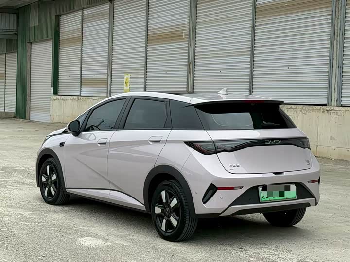 BYD Dolphin, 2025 — фото 4 из 9