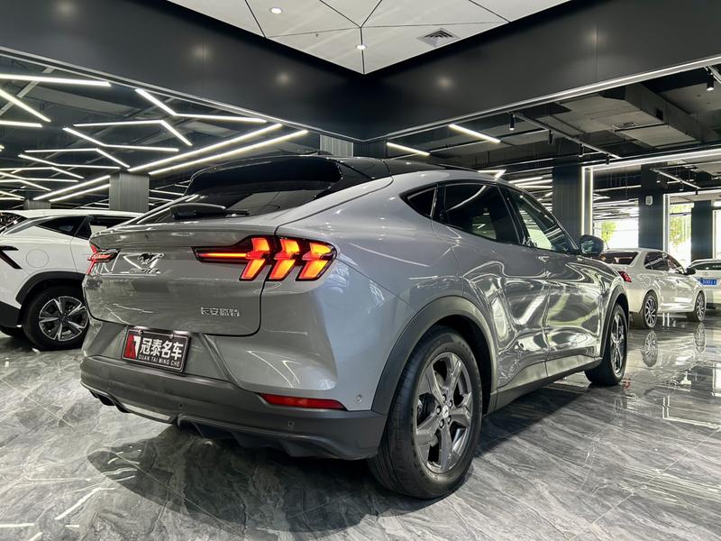 Ford Mustang Mach-E, 2022 — фото 7 из 12